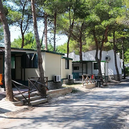 مكان تخييم San Pablo - Campings.com